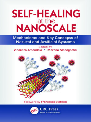 cover image of Self-Healing at the Nanoscale